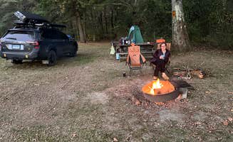 Karen M.'s photo of a dispersed camping area at Sugar Hill Fire Tower Campsite near Sabinsville, PA