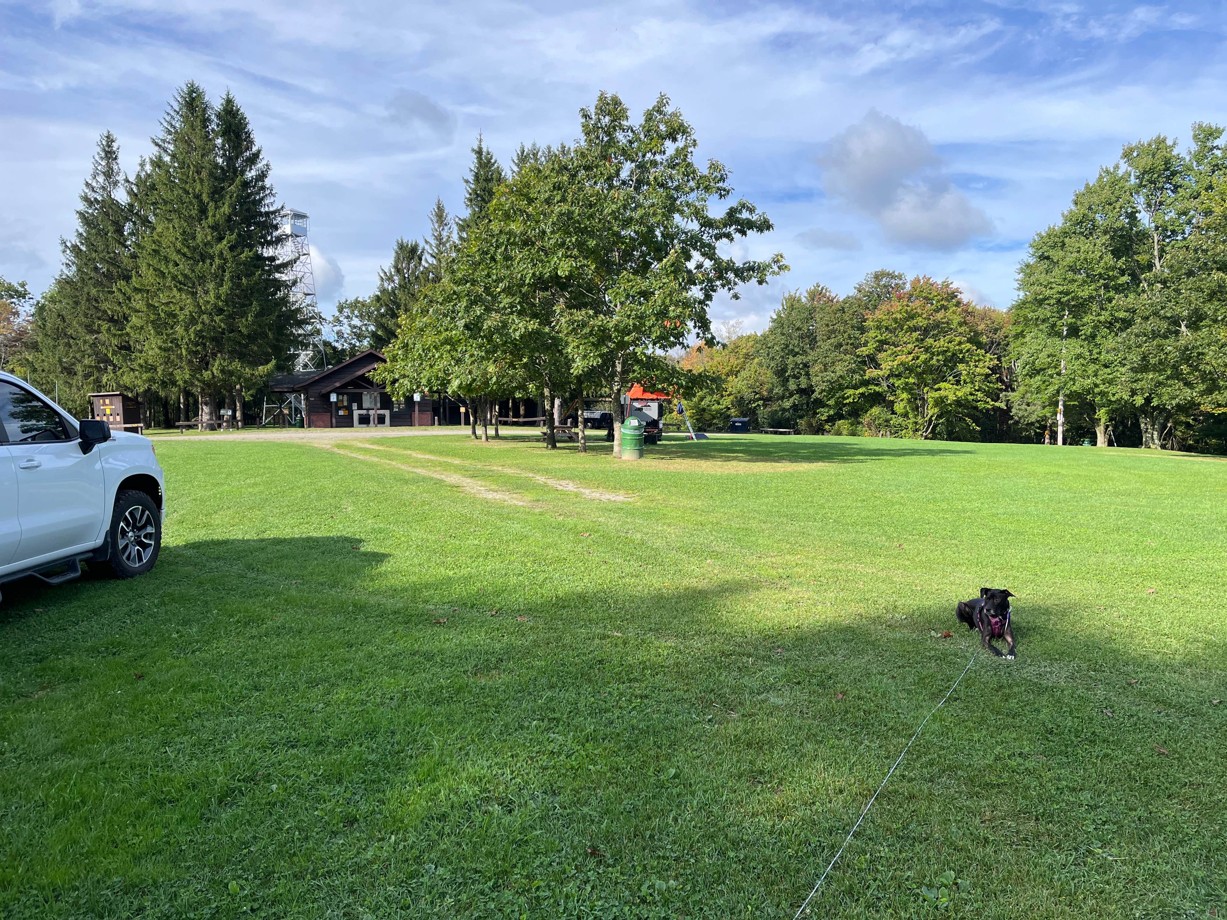 Andrew S.'s photo of camping with pets at Sugar Hill Recreation Area Camping near Tyrone, NY