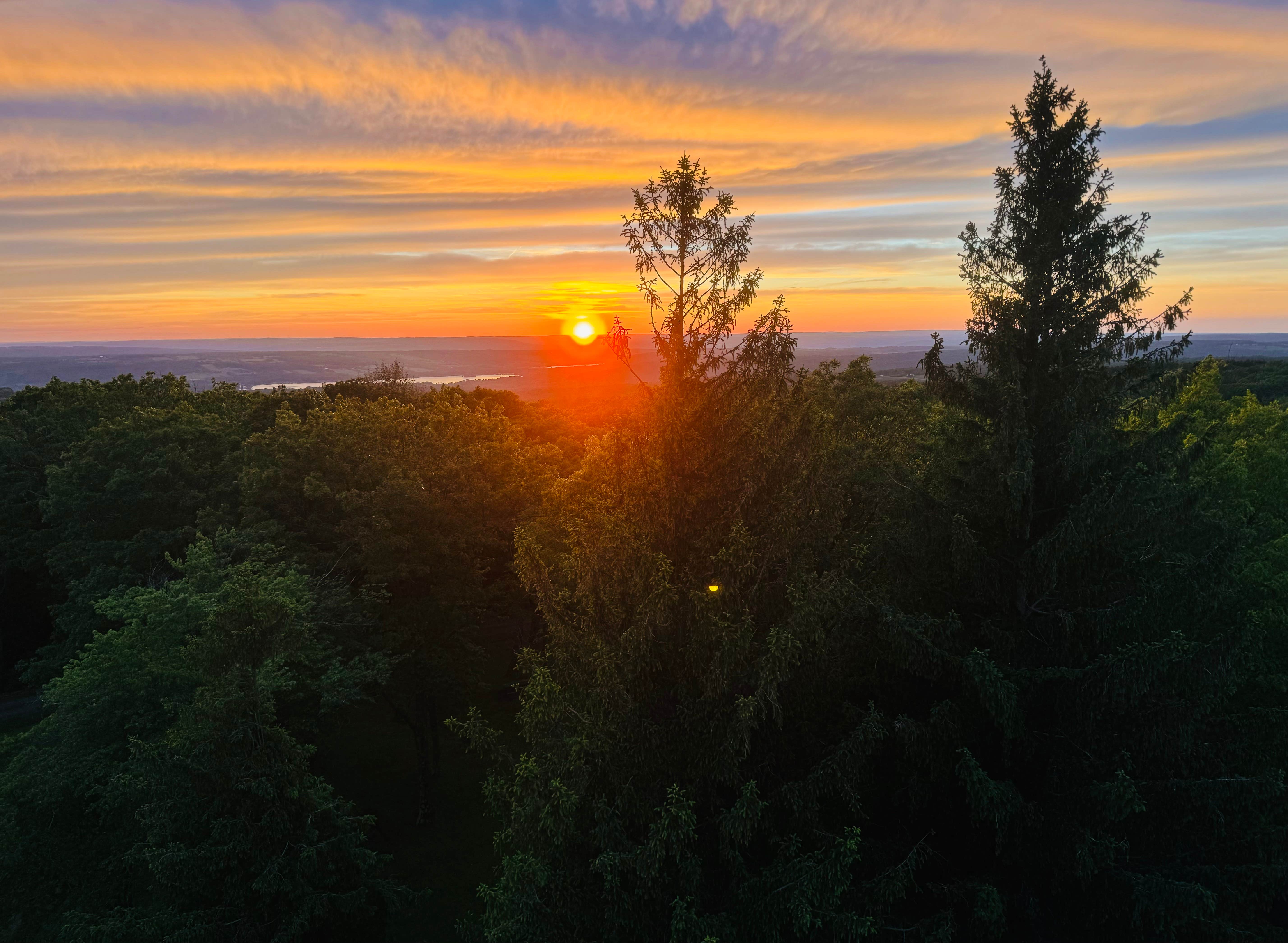 Paulina B.'s photo of a dispersed camping area at Sugar Hill Recreation Area Camping near Nunda, NY