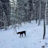 Review photo of Sugar Loafin' RV/Campground & Cabins by Reames C., May 16, 2025