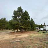 Review photo of Sugar Loafin' RV/Campground & Cabins by Jennifer M., September 23, 2026