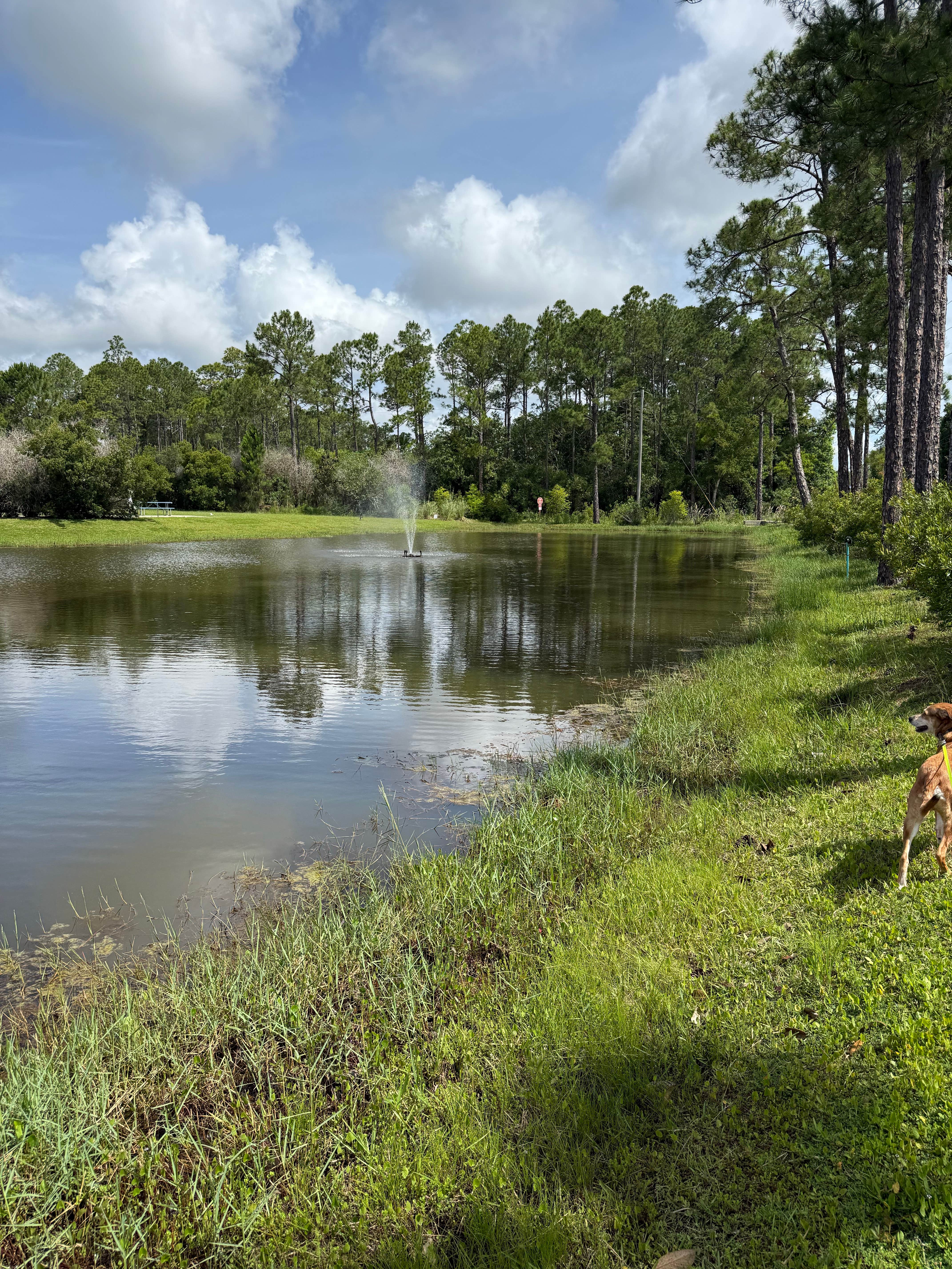 Jenny's photo of camping with pets at Sugar Sands RV Resort near Foley, AL