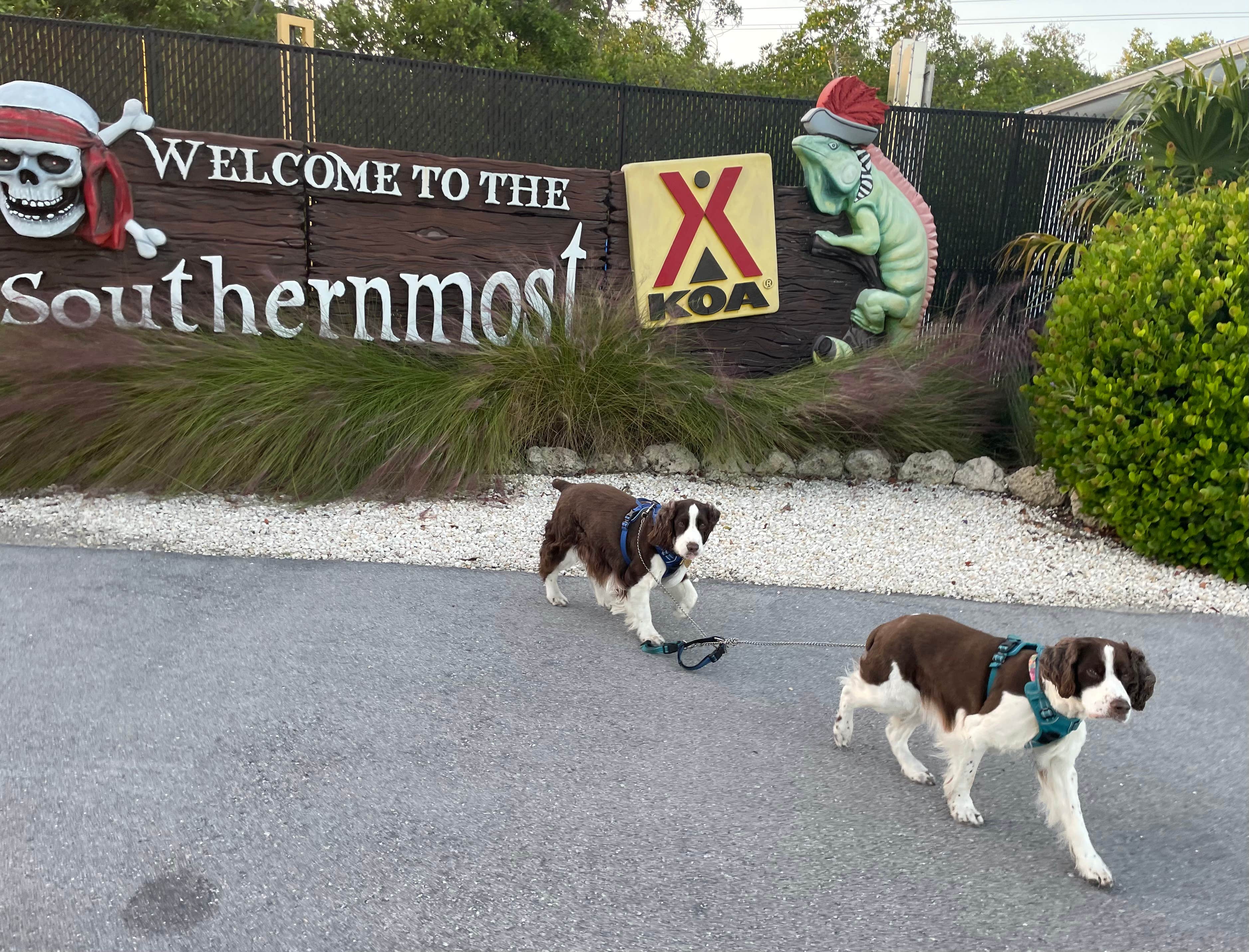 Joel R.'s photo of camping with pets at Sugarloaf Key/Key West KOA Resort near Key West, FL