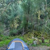 Review photo of Sugarloaf Ridge State Park Campground by Brittney L., May 23, 2025