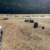 Review photo of Sugarloaf Ridge State Park Campground by tom S., October 13, 2026