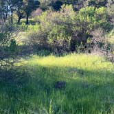 Review photo of Sugarloaf Ridge State Park Campground by Brittney L., May 23, 2025