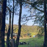 Review photo of Sugarloaf Ridge State Park Campground by Brittney L., May 23, 2025