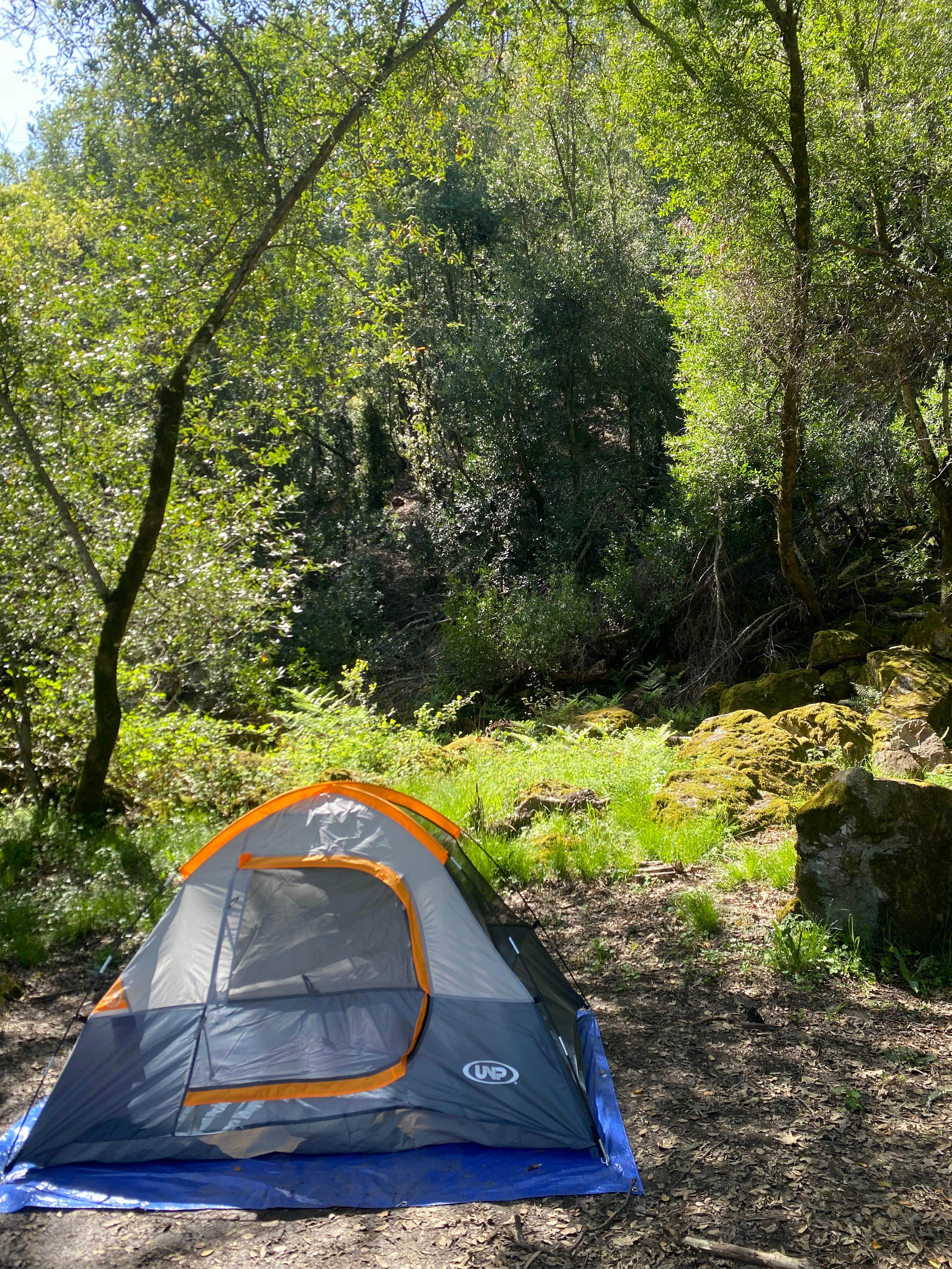 Brittney L.'s photo at Sugarloaf Ridge State Park Campground near Petaluma, CA