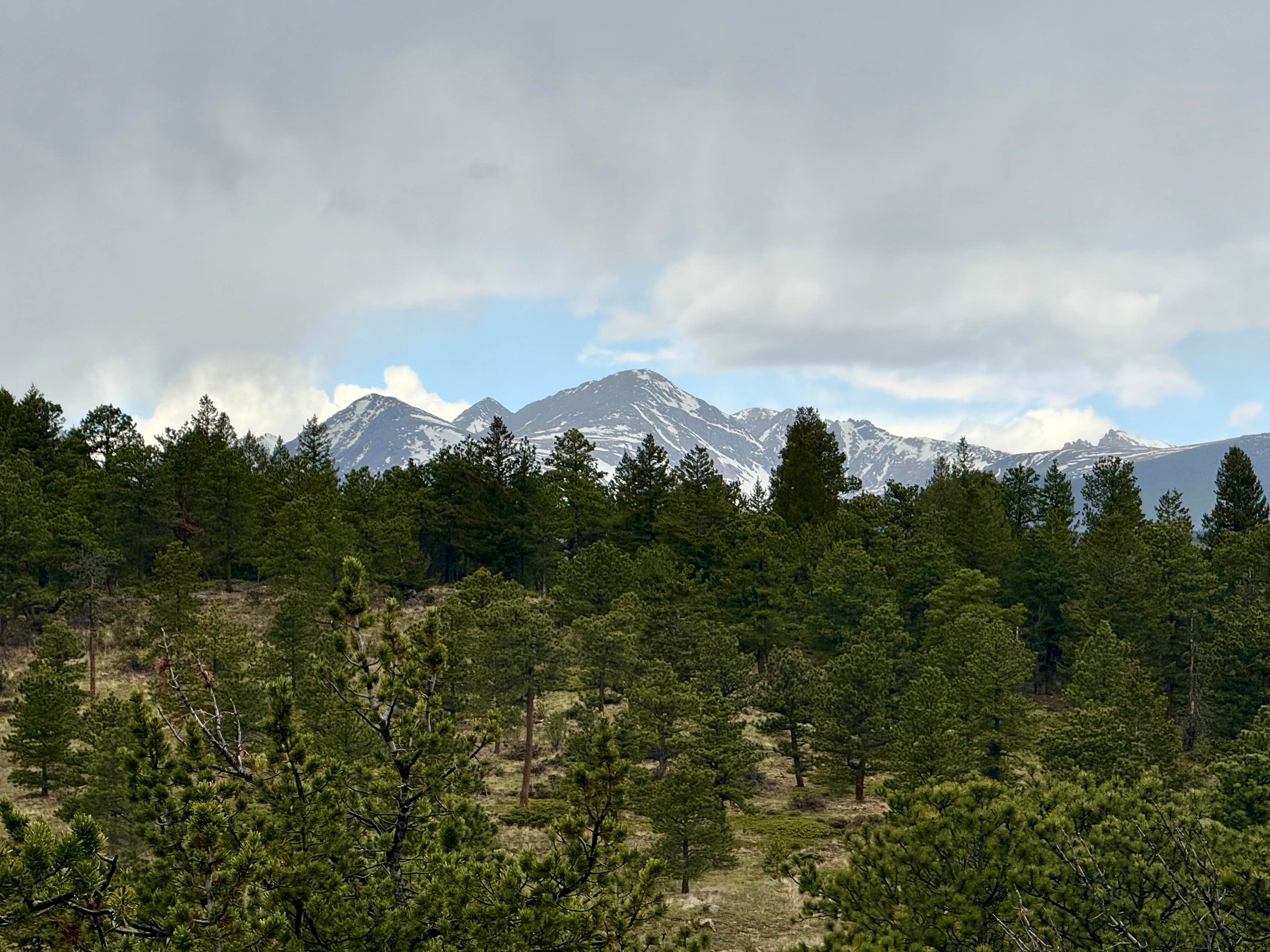 Camper-submitted photo at Sugarloaf Road Camp near Jamestown, CO