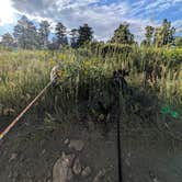Review photo of Sugarloaf Road Camp by Seanna M., July 5, 2025