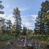 Review photo of Sugarloaf Road Camp by Seanna M., July 5, 2025