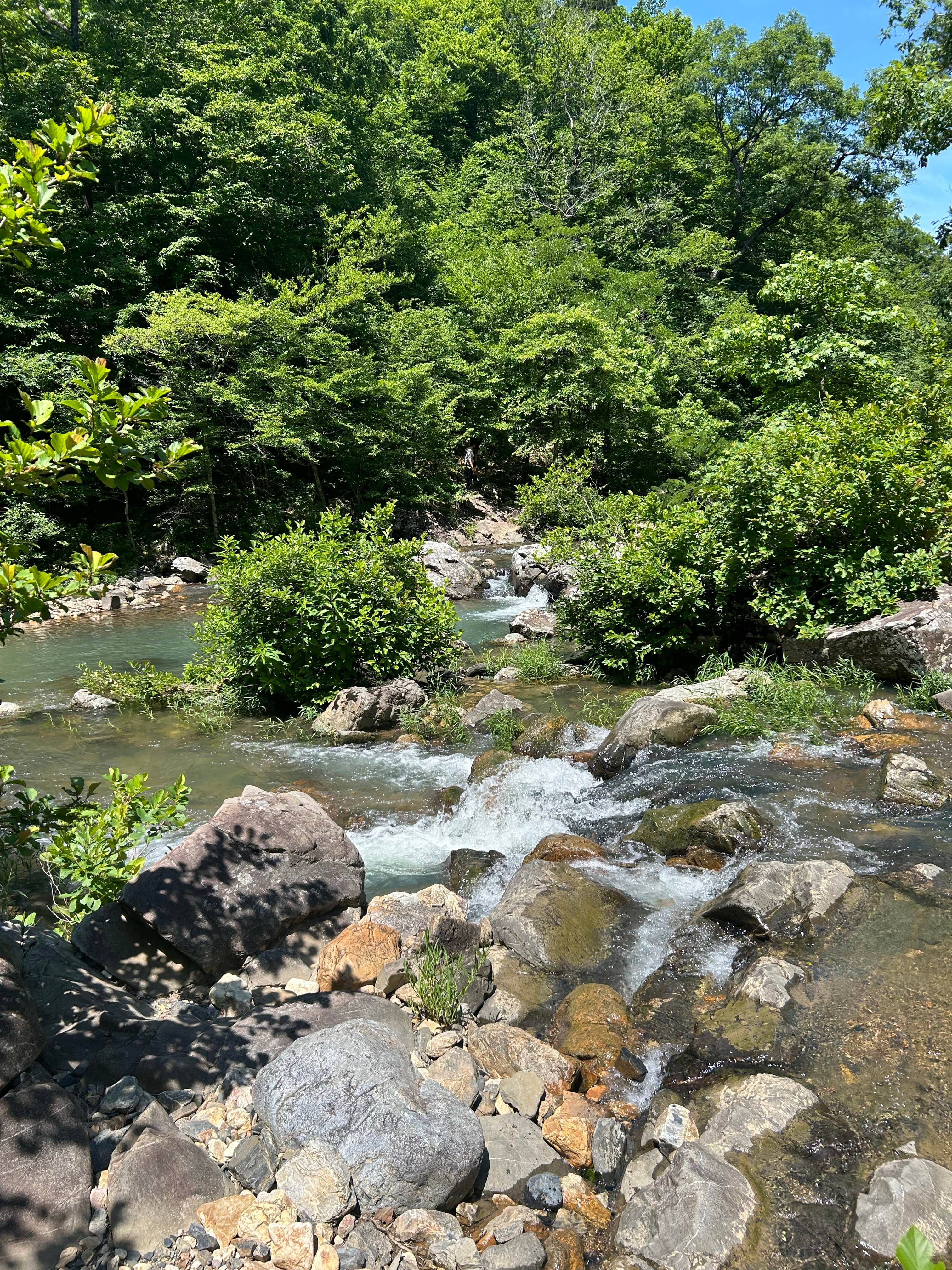 Camper-submitted photo at Sugartree Mountain Falls campsite near Langley, AR