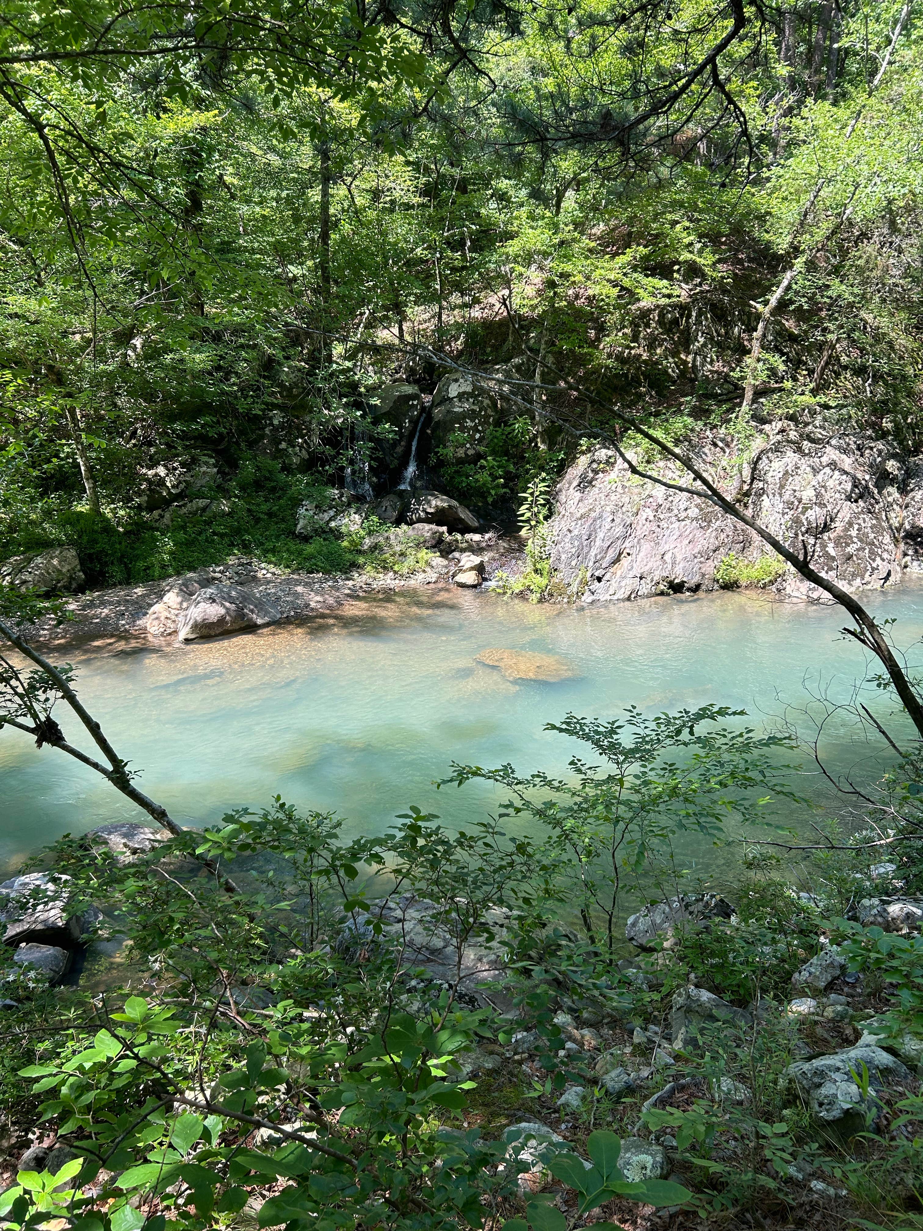 Camper submitted image from Sugartree Mountain Falls campsite - 2