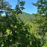 Review photo of Sugartree Mountain Falls campsite by Daniel E., January 30, 2026