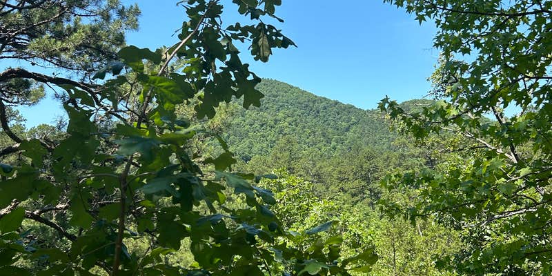 Camper submitted image from Sugartree Mountain Falls campsite