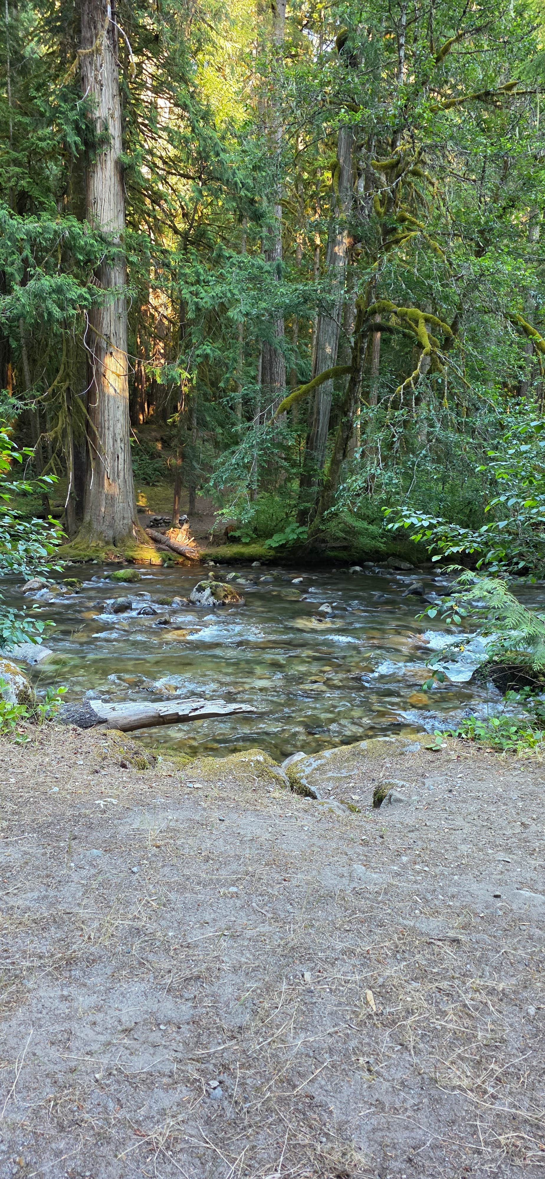 Camper-submitted photo at Suiattle Riverside Camp near Lake Chelan National Recreation Area
