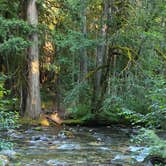 Review photo of Suiattle Riverside Camp by Kristen Z., July 16, 2025