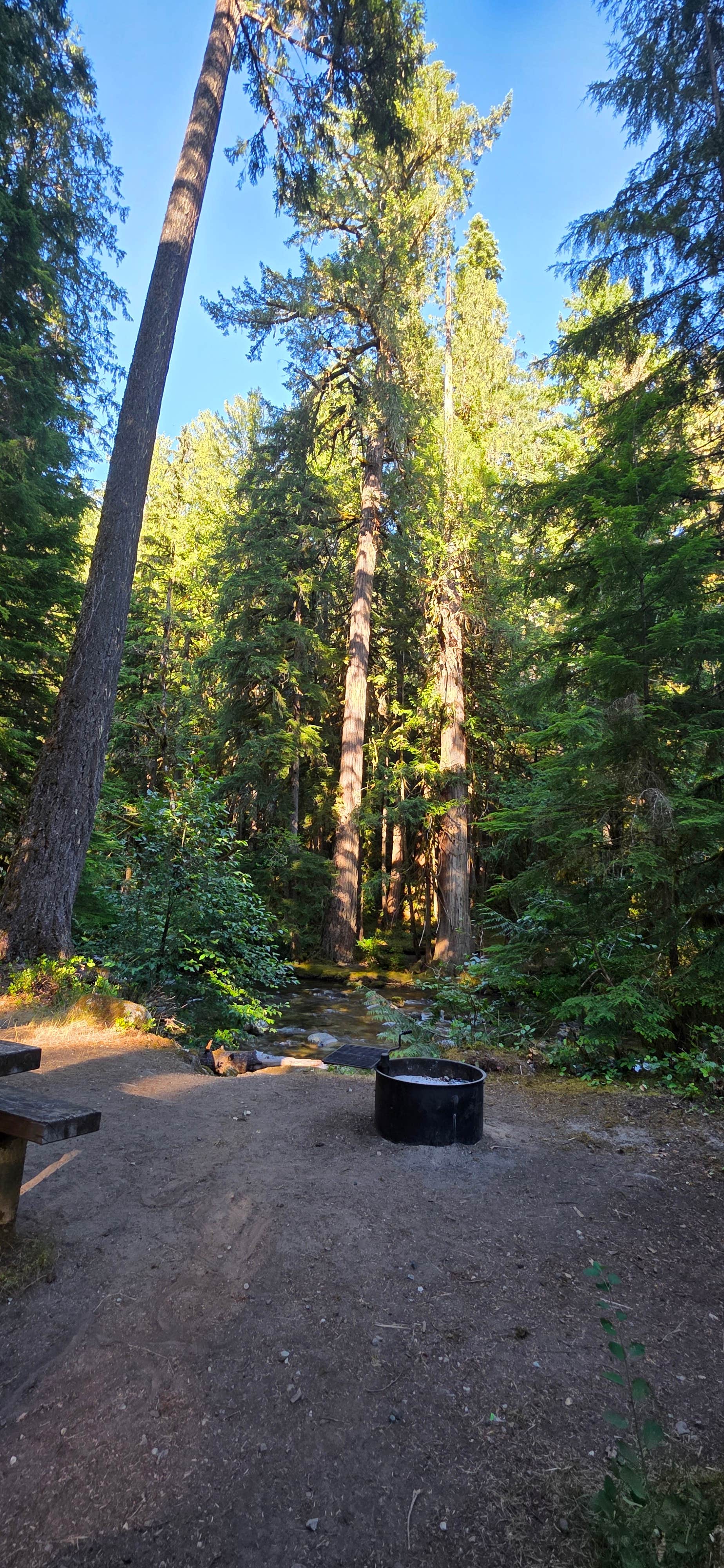 Camper-submitted photo at Suiattle Riverside Camp near Lake Chelan National Recreation Area