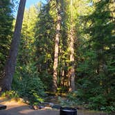 Review photo of Suiattle Riverside Camp by Kristen Z., July 16, 2025