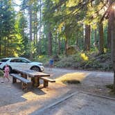 Review photo of Suiattle Riverside Camp by Kristen Z., July 16, 2025