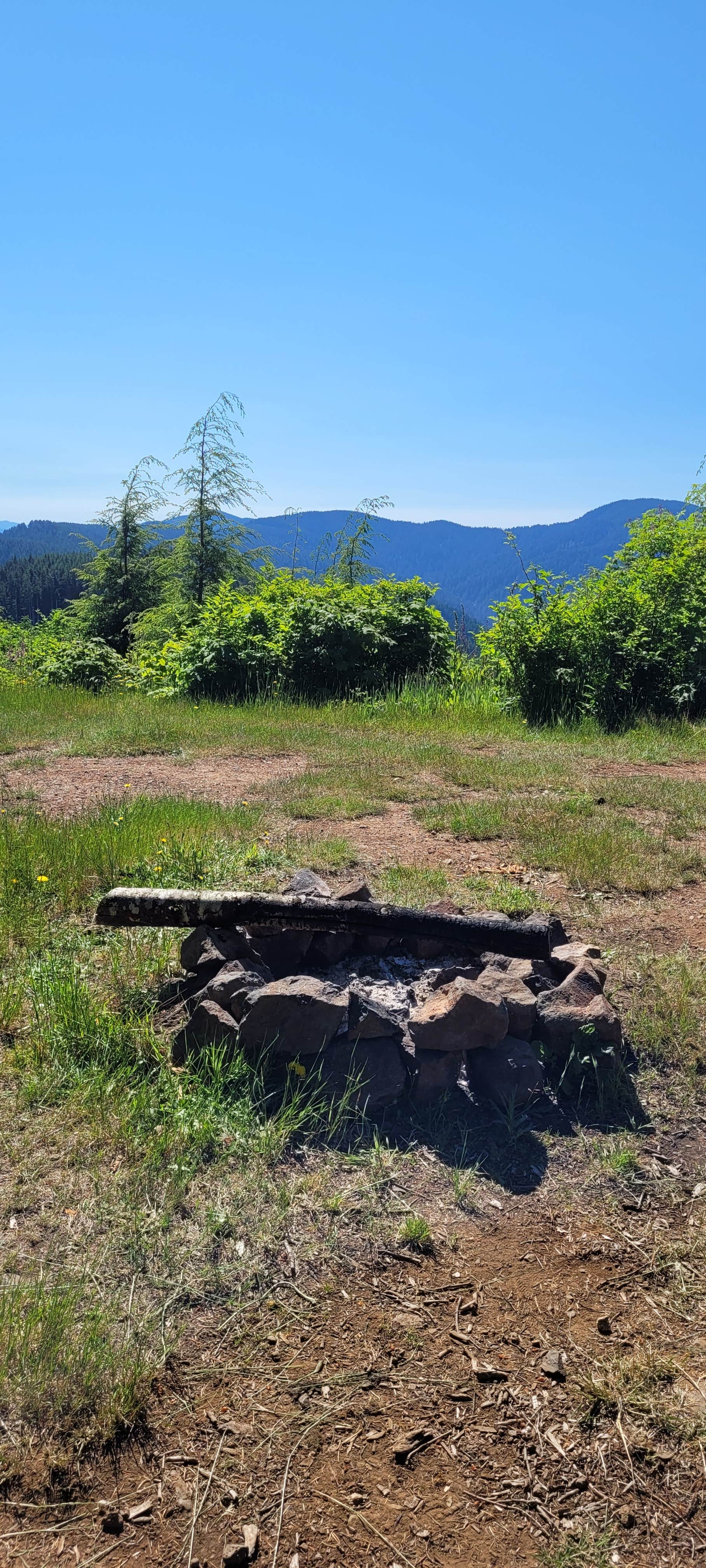 Camper-submitted photo at Suislaw National Forest Dispersed Camping near Newport, OR