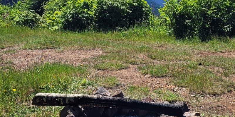 Camper submitted image from Suislaw National Forest Dispersed Camping