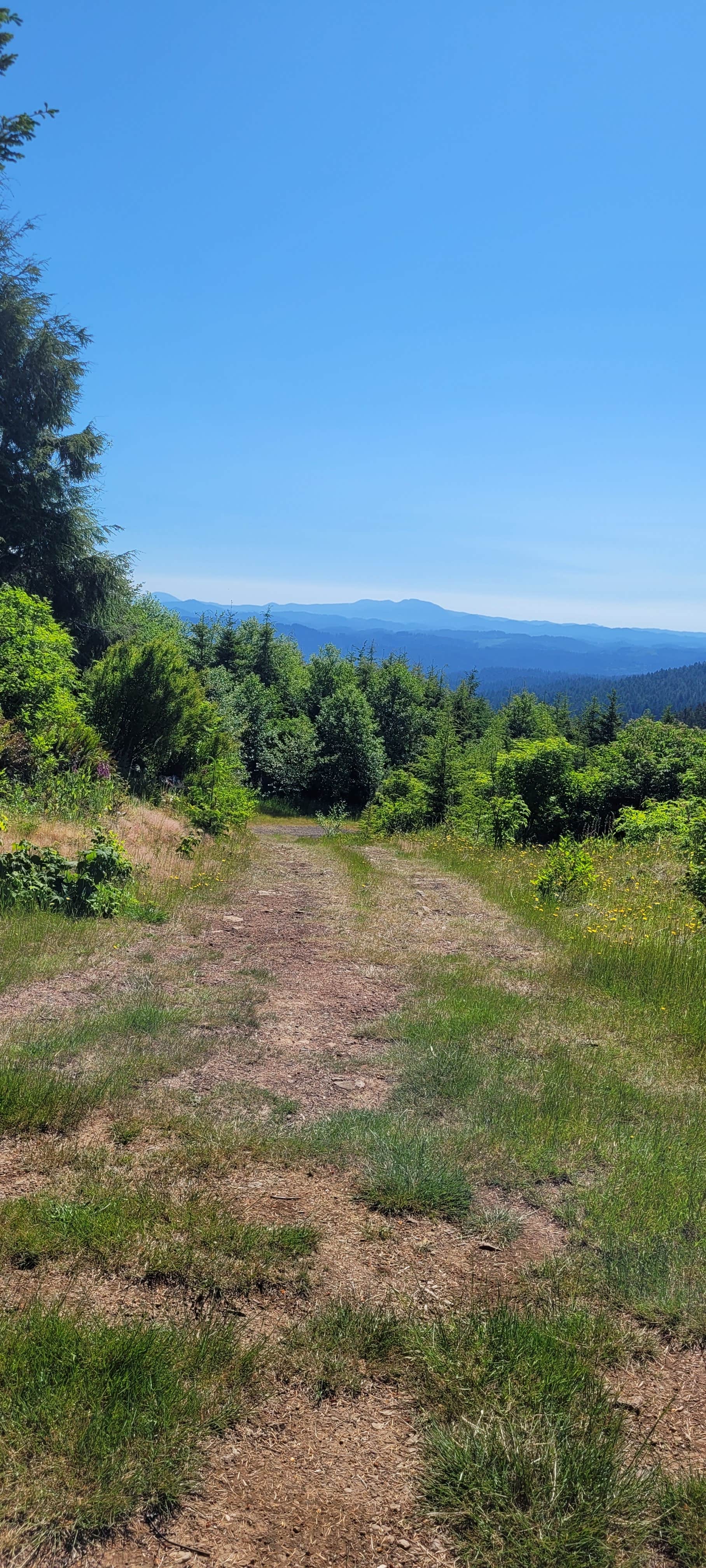 Camper-submitted photo at Suislaw National Forest Dispersed Camping near Newport, OR