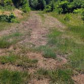Review photo of Suislaw National Forest Dispersed Camping by Connor G., June 8, 2025