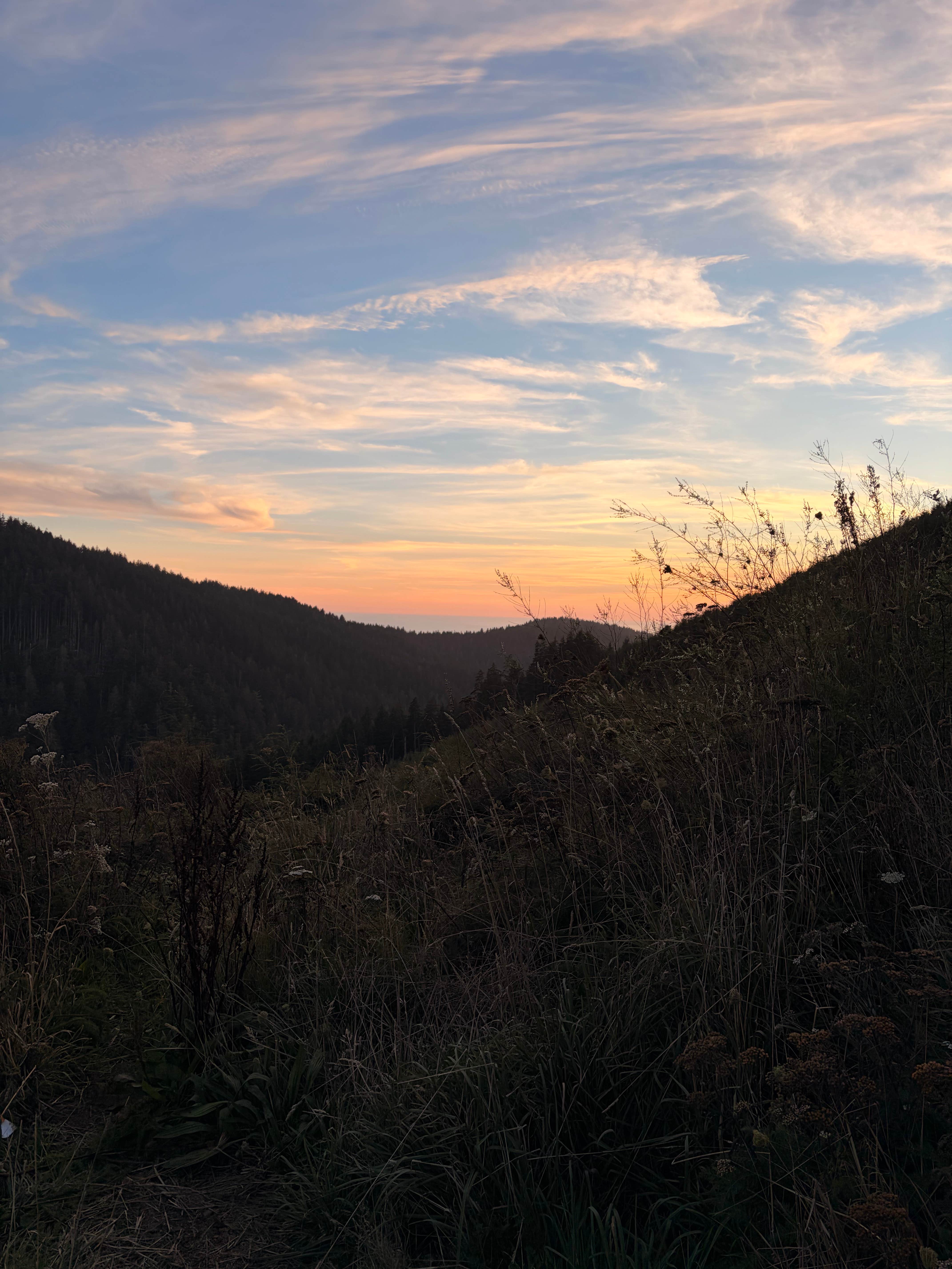 Camper-submitted photo at Suislaw National Forest Dispersed Camping near Reedsport, OR