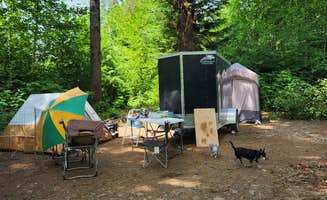 Laura S.'s photo at Suislaw National Forest Dispersed Camping near Seal Rock, OR