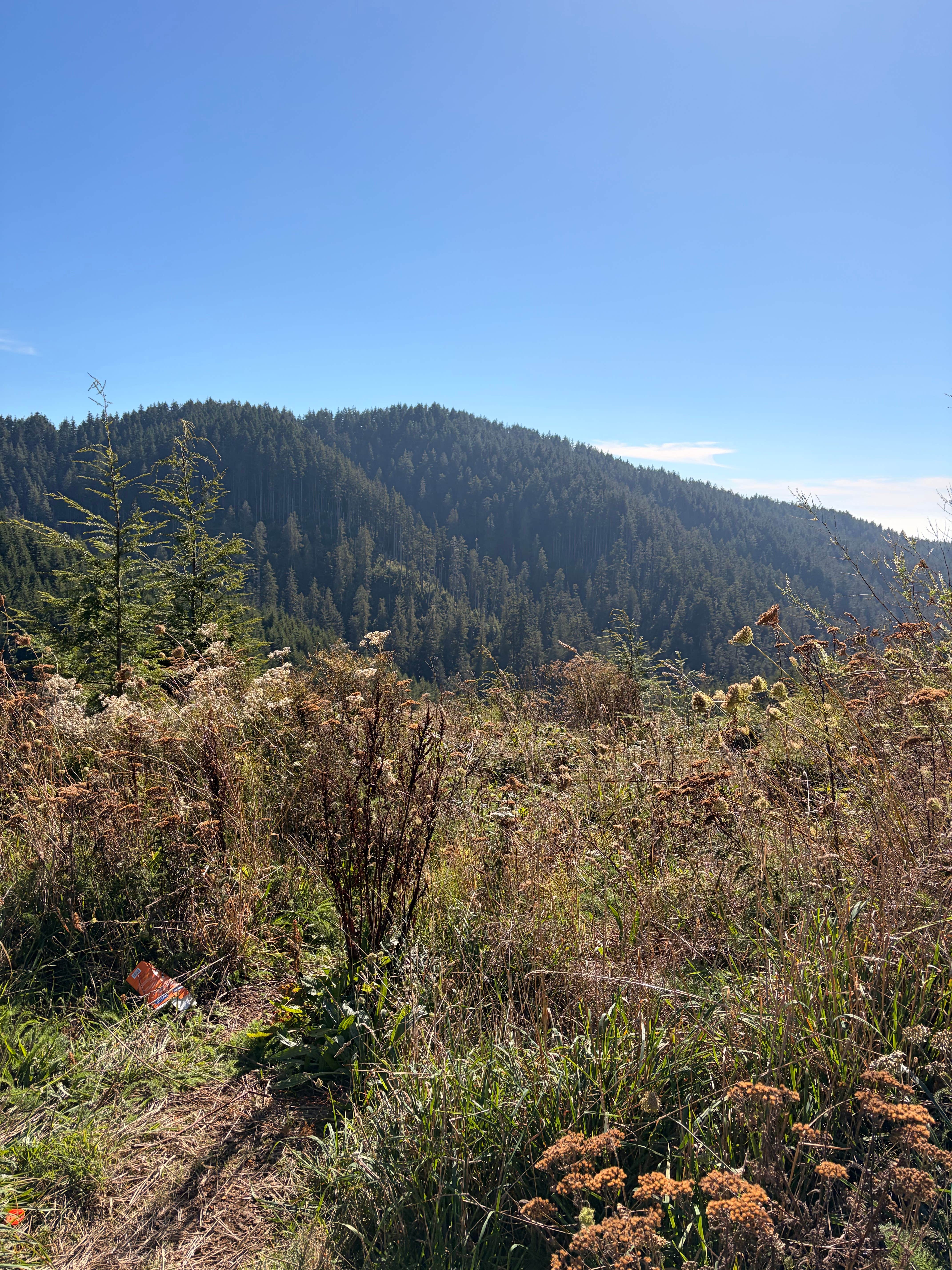 Camper-submitted photo at Suislaw National Forest Dispersed Camping near Reedsport, OR