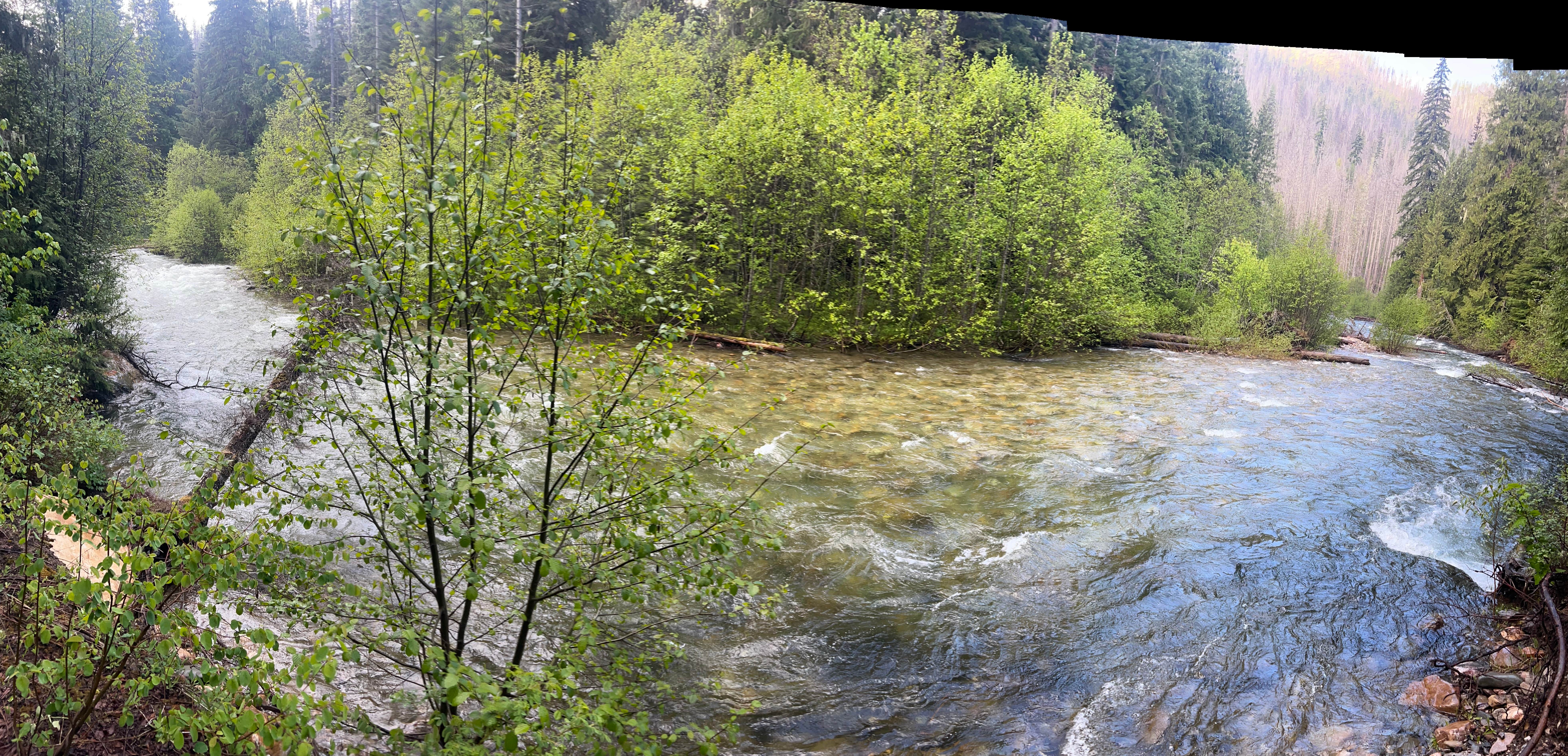 Camper submitted image from Sullivan Creek Campgrounds - 4