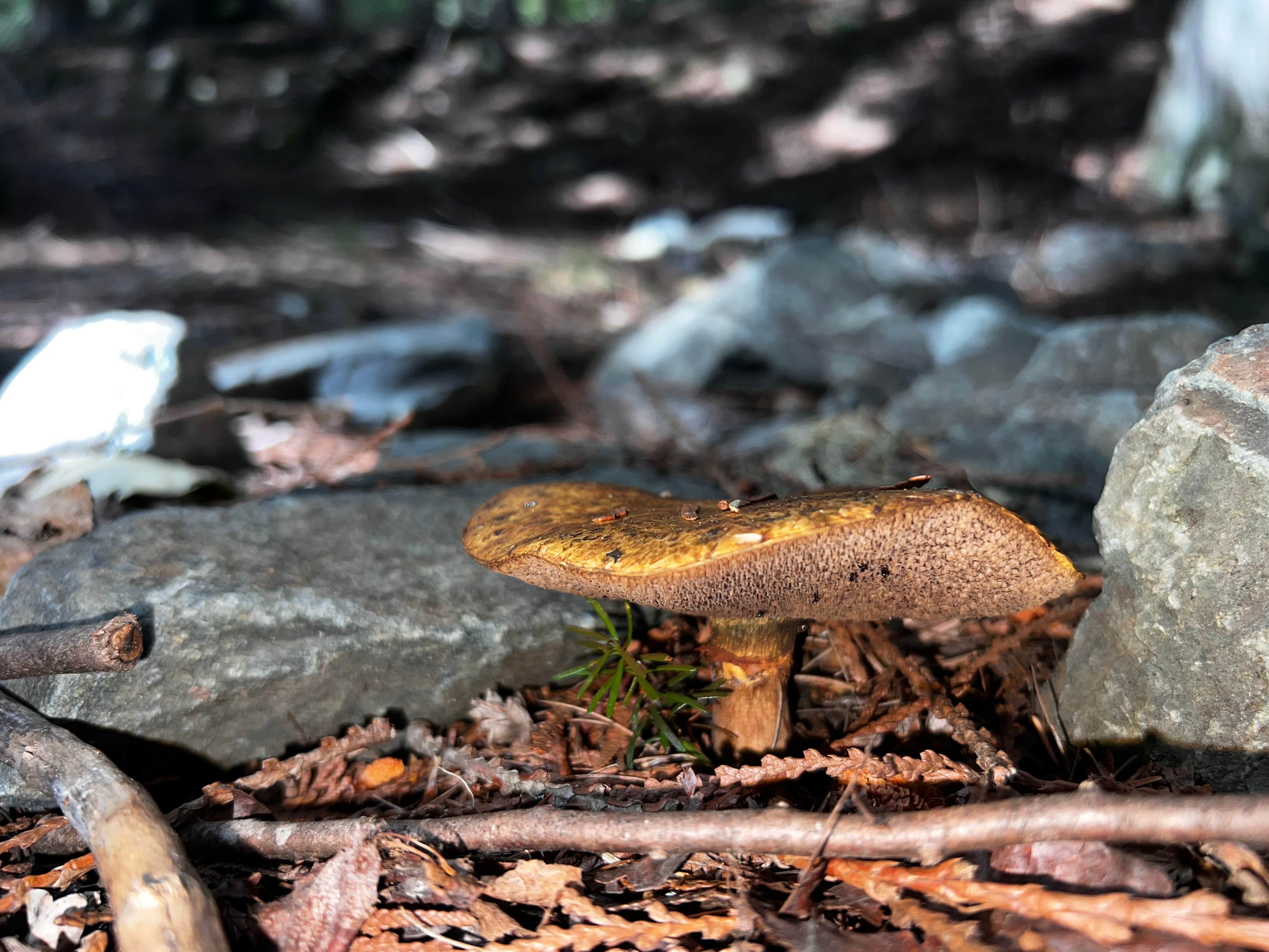 Camper-submitted photo at Sullivan Creek Campgrounds near Metaline Falls, WA