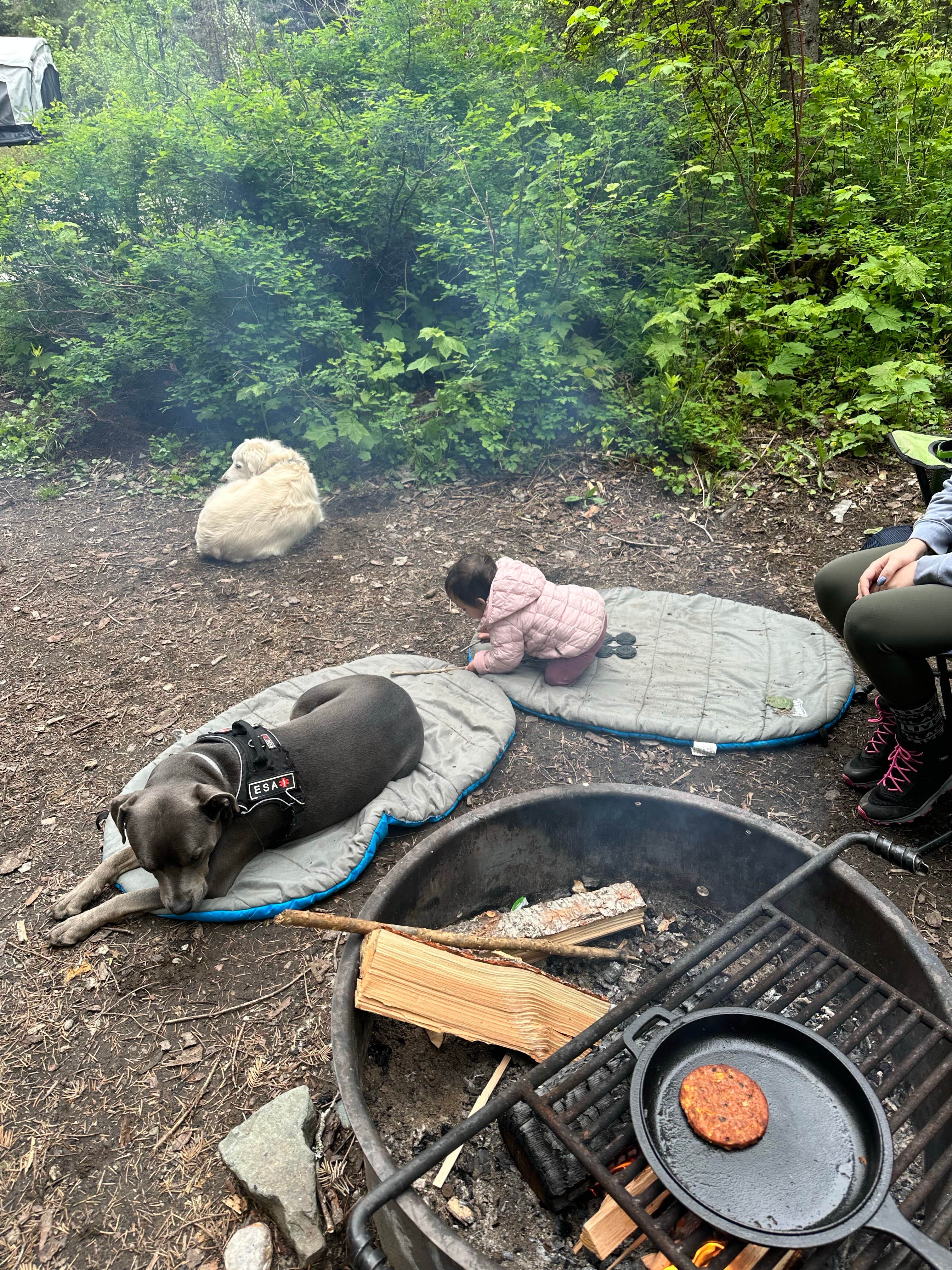 Marcus K.'s photo of tent camping at Sullivan Creek Campgrounds near Sandpoint, ID
