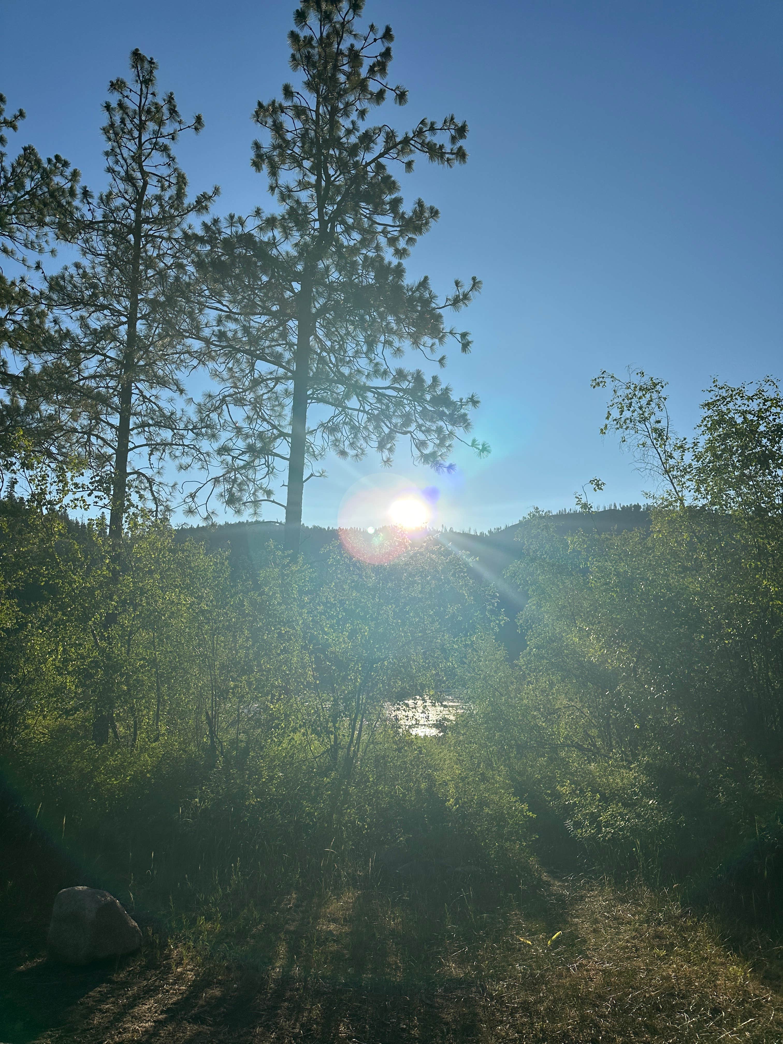 Camper-submitted photo at Sullivan Pond Camp near Lake Chelan National Recreation Area