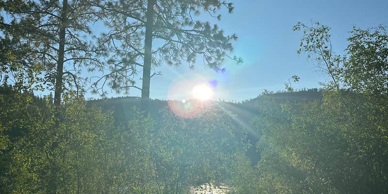 Camper submitted image from Sullivan Pond Camp