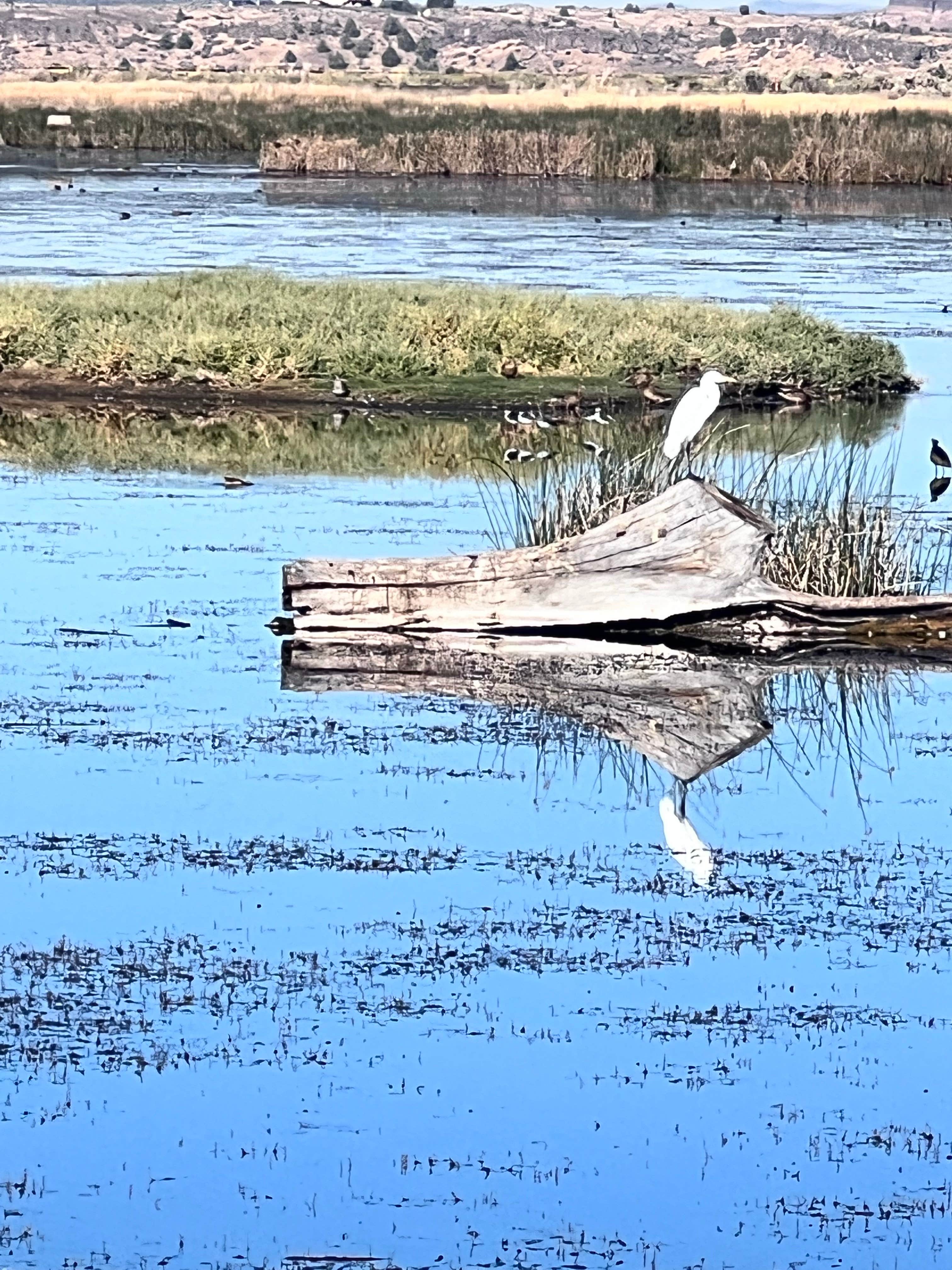 Camper-submitted photo at Sully's RV Park near McArthur, CA