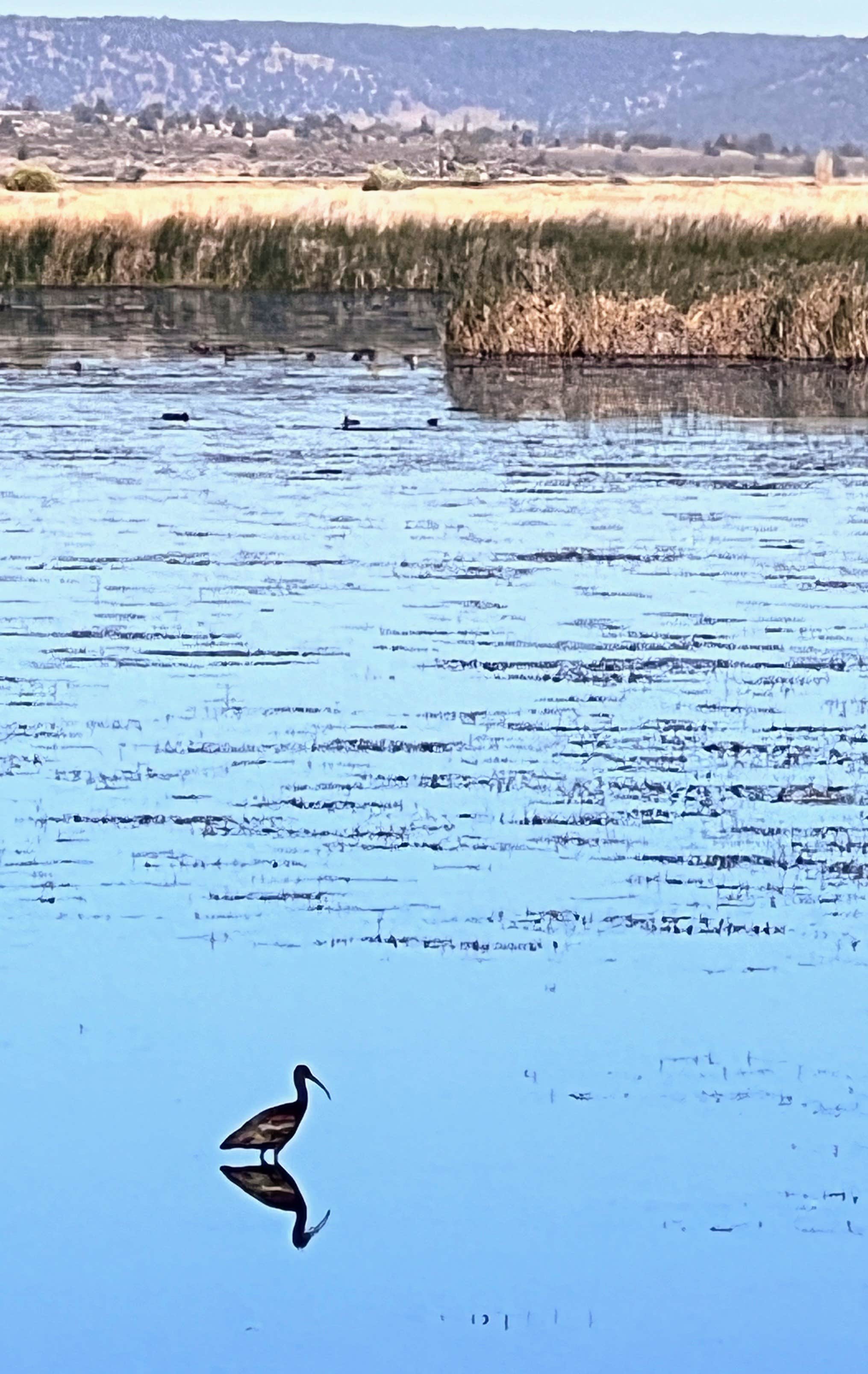 Camper-submitted photo at Sully's RV Park near McArthur, CA