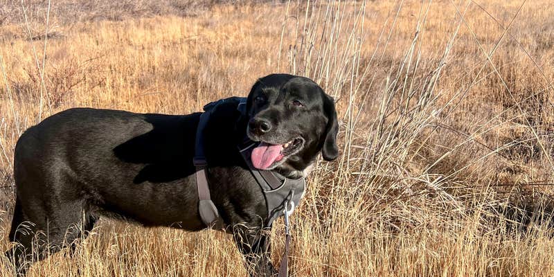 Camper submitted image from Sully's RV Park