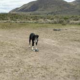 Review photo of Summer Lake Hot Springs by Talisha C., April 30, 2025