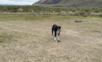 Talisha C.'s photo of camping with pets at Summer Lake Hot Springs near Lakeview, OR