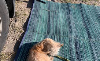 Mama J.'s photo of camping with pets at Summer Lake Hot Springs near Lakeview, OR