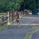 Review photo of Summerlan RV Park by Jason S., September 11, 2023