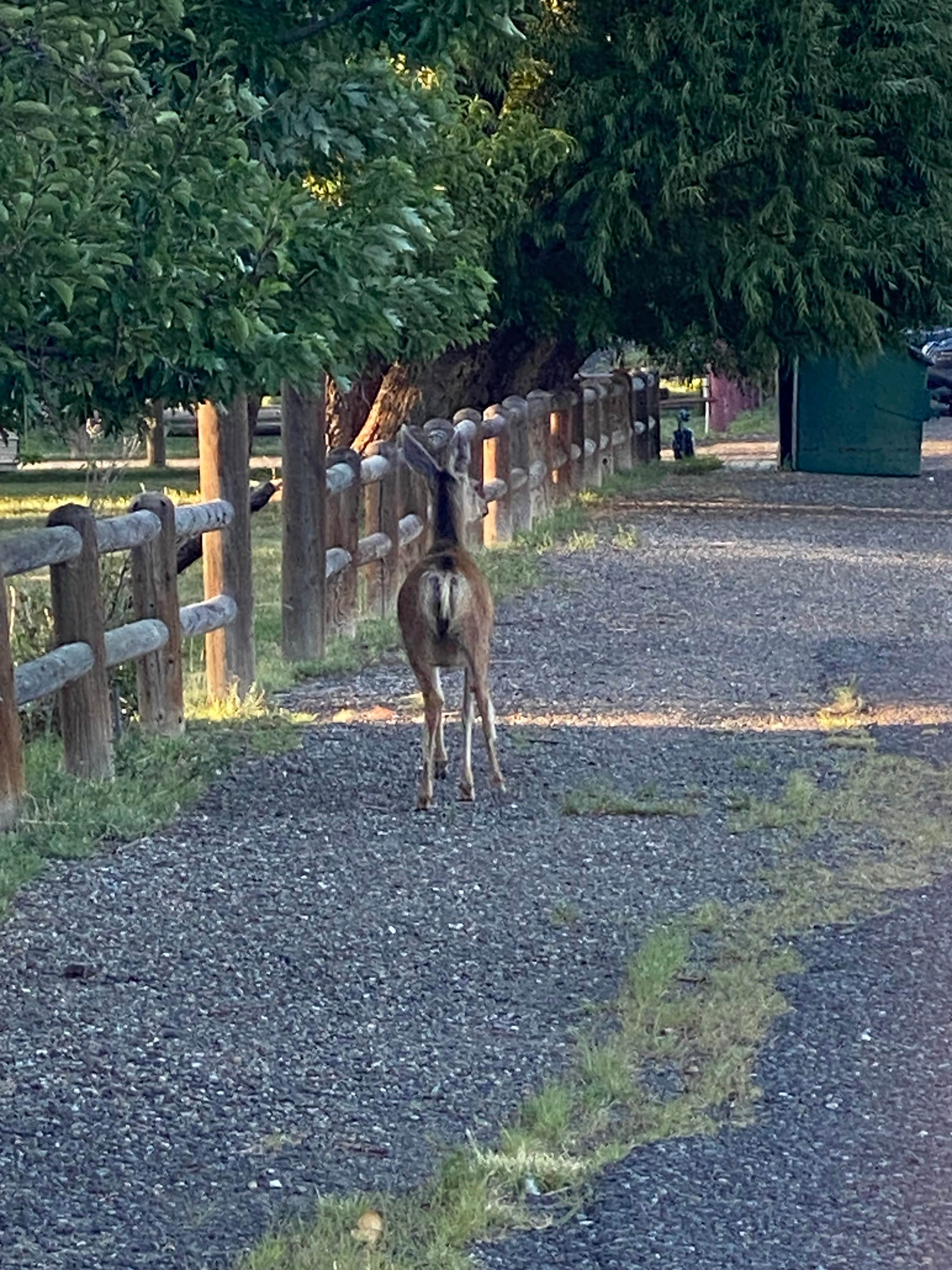 Camper submitted image from Summerlan RV Park - 3