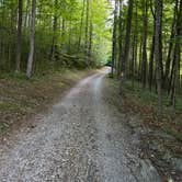 Review photo of Summersville Lake Retreat & Lighthouse by Todd C., June 30, 2024