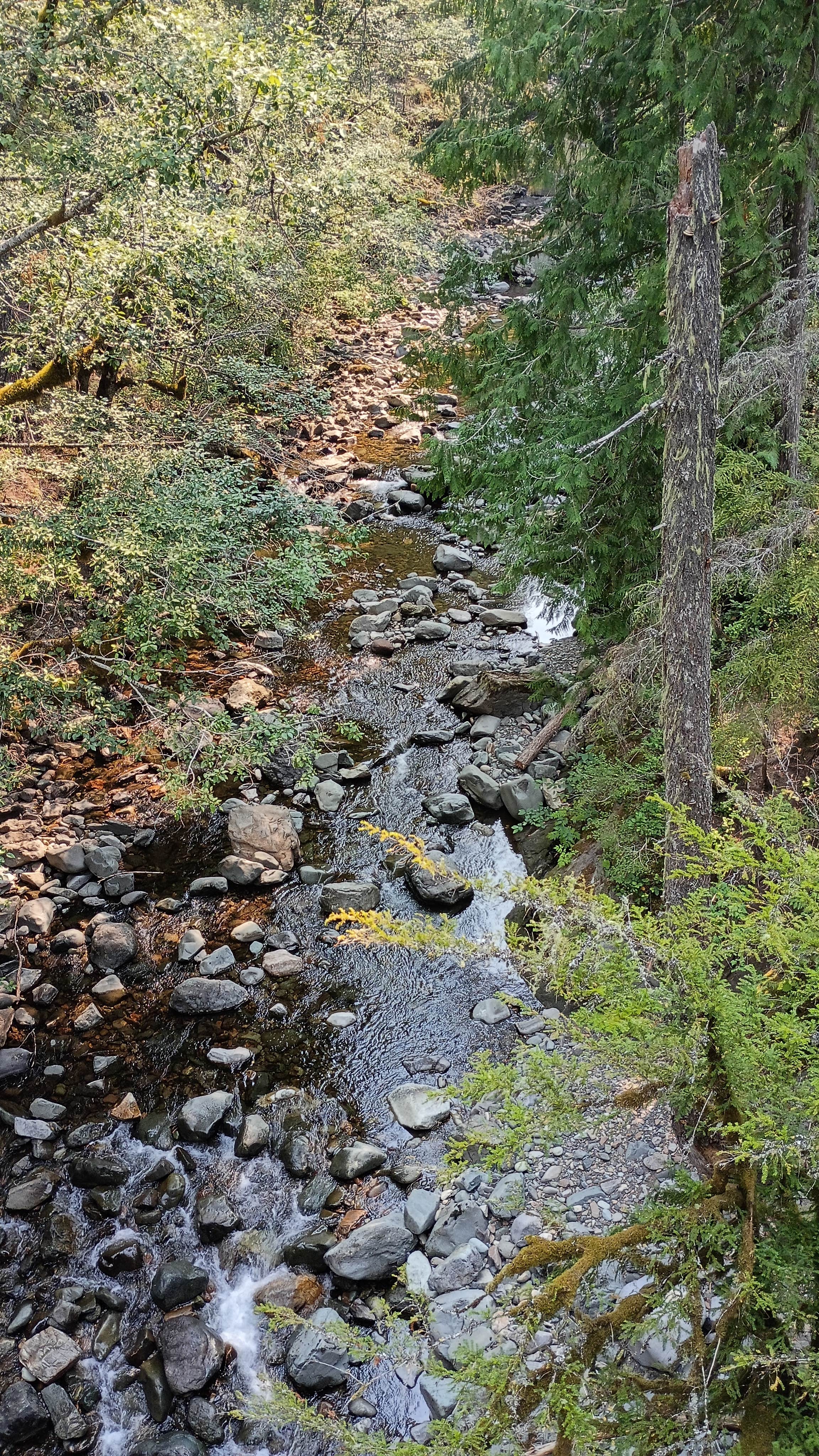 Camper-submitted photo at Summit Creek Campground near Packwood, WA