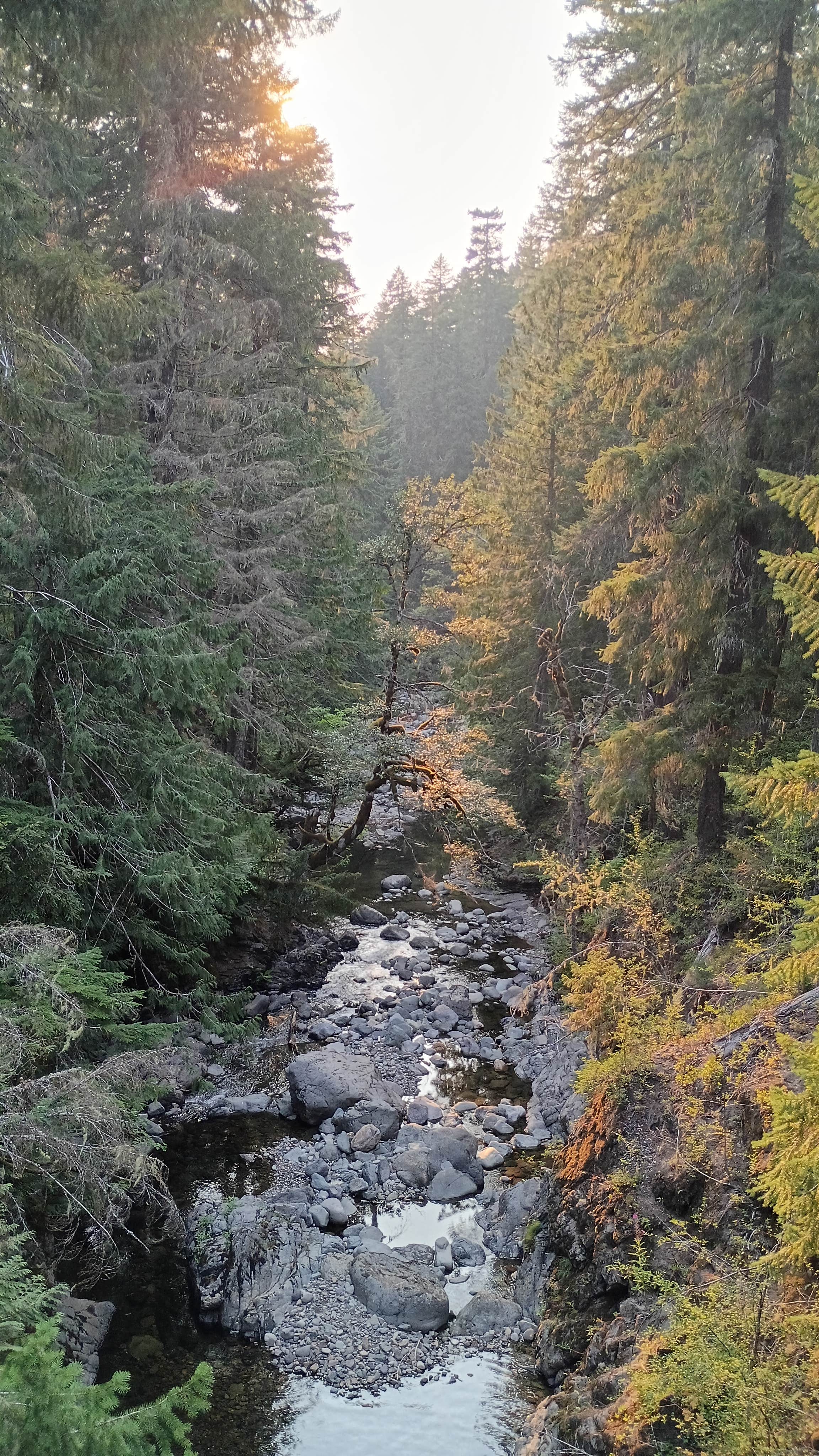 Camper-submitted photo at Summit Creek Campground near Packwood, WA
