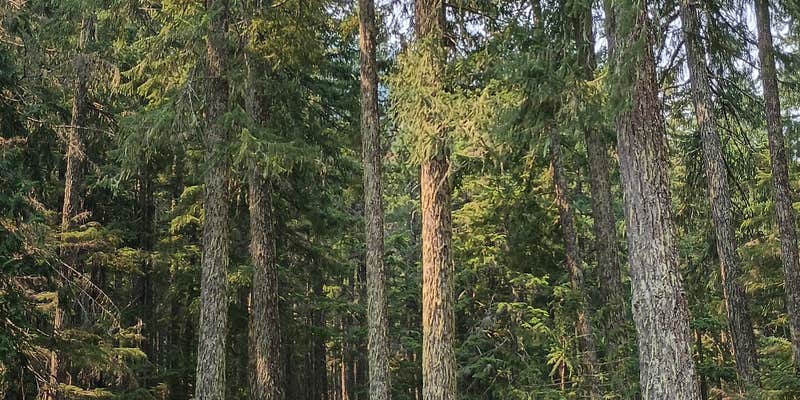 Camper submitted image from Summit Creek Campground