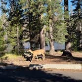 Review photo of Summit Lake North — Lassen Volcanic National Park by Michelle H., July 26, 2026