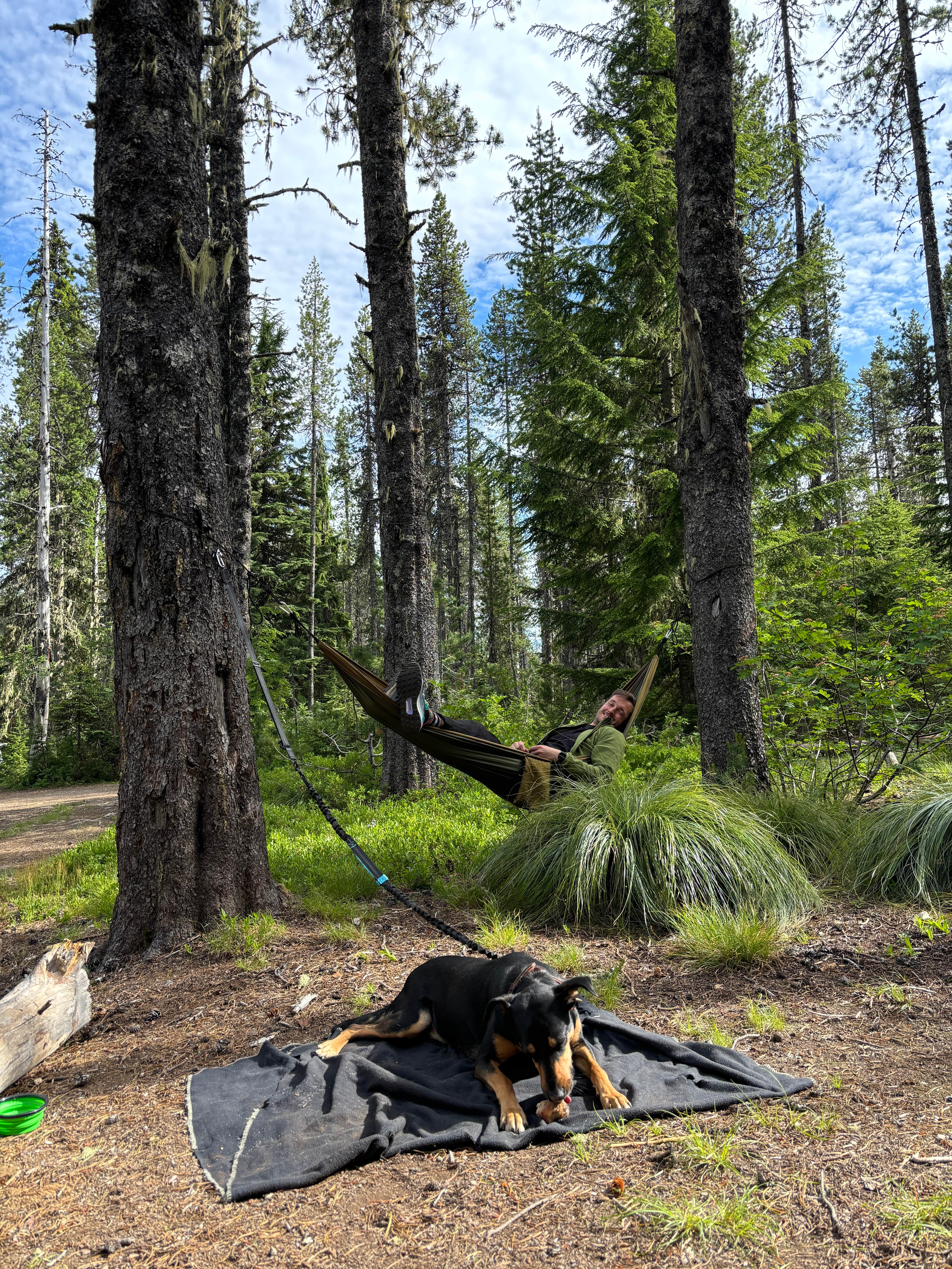 J K.'s photo of camping with pets at Summit Meadows Airstrip near Government Camp, OR